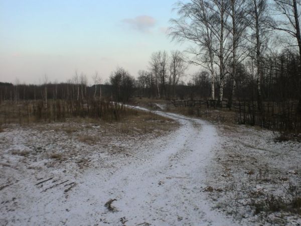 zdjecie Ulaski Stamirowskie