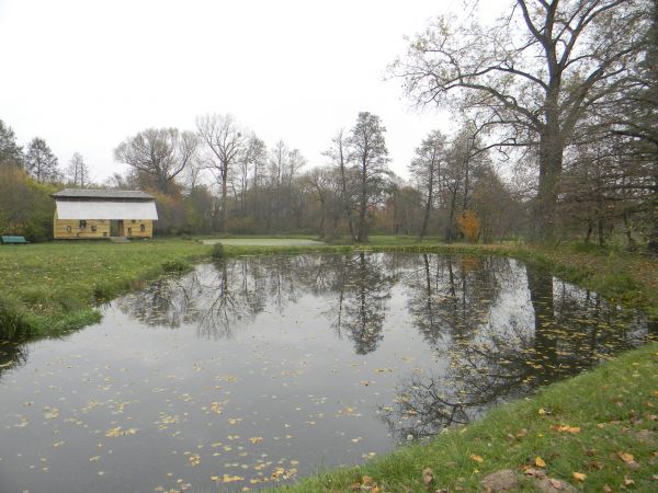 Zespół pałacowo - parkowy,  Józef Wilkoń - Arka