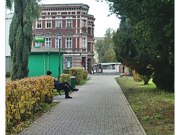 zdjecie Sulechów