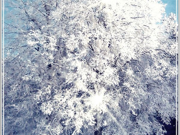 To natura cieszy nas takimi widokami w tej okolicy