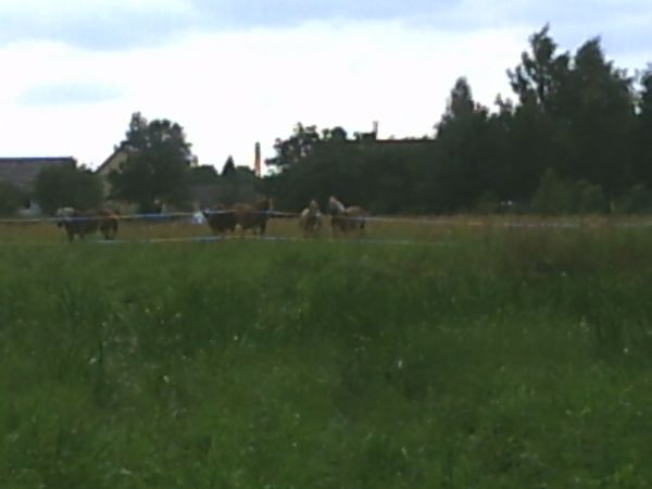 zdjecie Stare Siołkowice