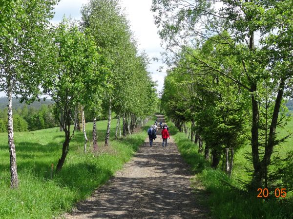duktem leśnym / aleją - od leśnej szkółki do szlaku zrywkowego /miejsca pozyskiwania i czasowego składowania drewna/, co nam pozwoli na opuszczenie terenów wsi