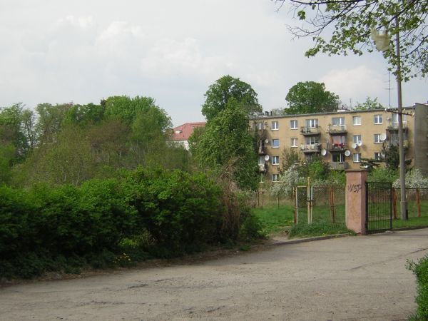 zdjecie Sulechów
