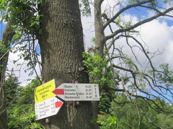 Czerwieńczyce leśniczówka-drogowskazy turystyczne