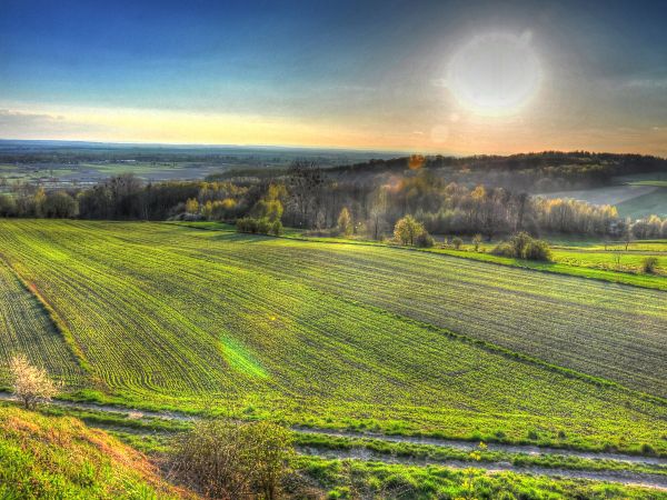 zdjecie Wodzisław Śląski