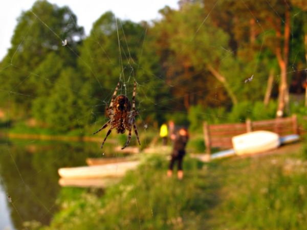 Nad jeziorem Wdzydze wiosną 2016