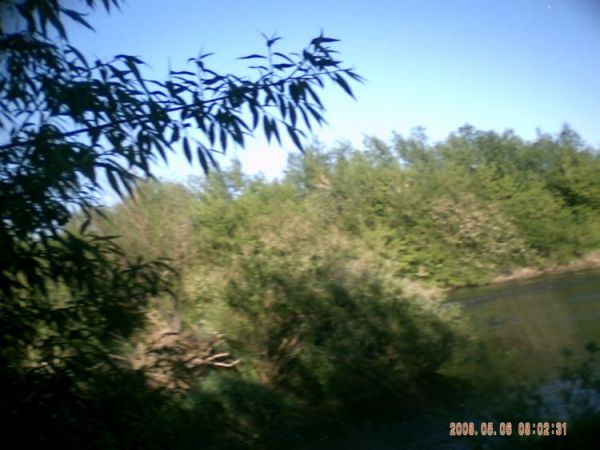 zdjecie Stare Kaliszany