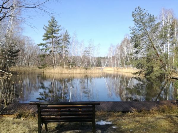 Uroczy staw w Osolinie