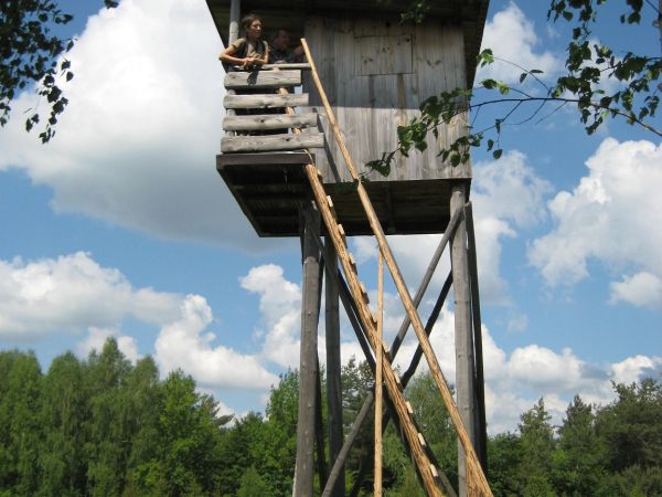 wejść tam i ambonę myśliwską jako platformę widokową - potraktować, widokami się napawać, nasycać i kontemplować, ale i też zwierzyny wszelakiej tam pełno, płow