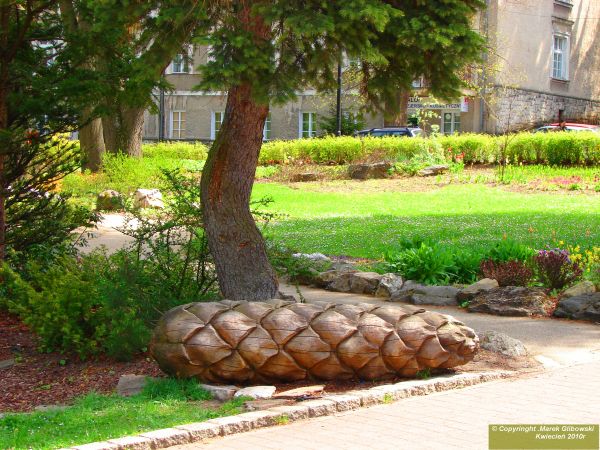 zdjecie Duszniki-Zdrój