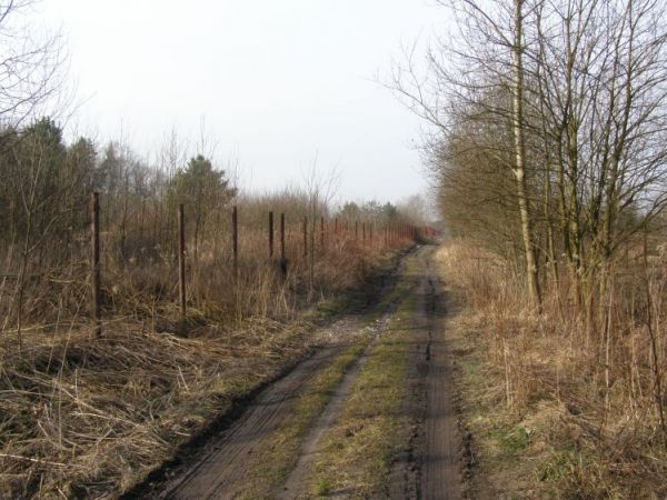 zdjecie Zalesie Górne