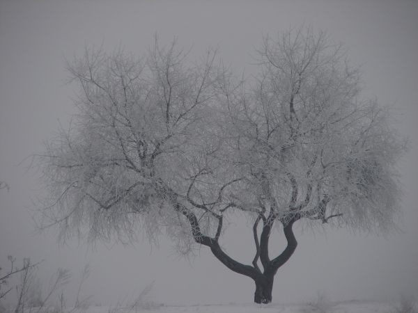 Gdansk - Forty Napoleonskie