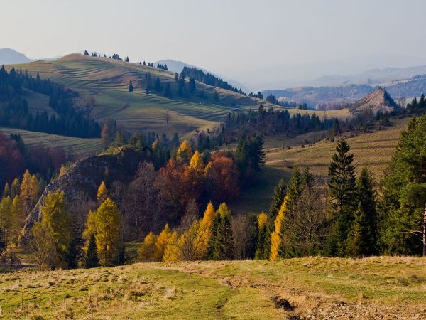 REZERWAT BIAŁA WODA