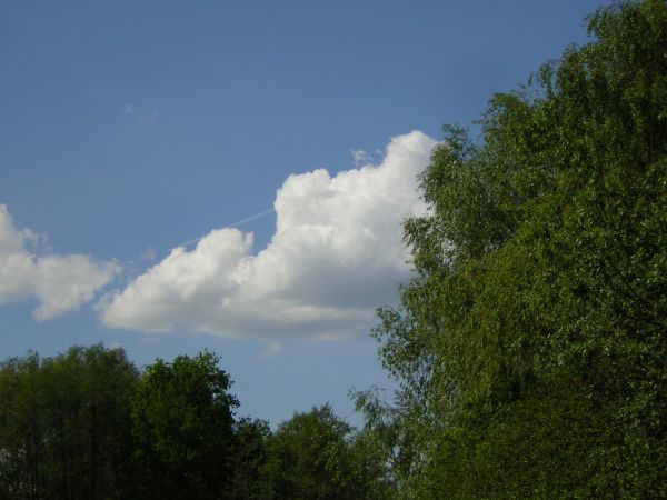 zdjecie Sulechów