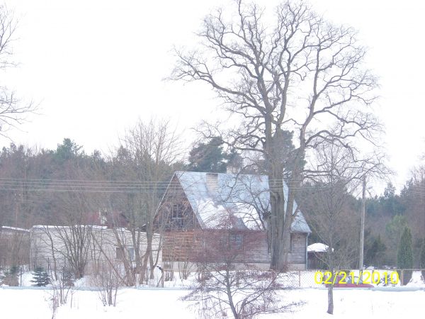 zdjecie Białobrzeg Dalszy