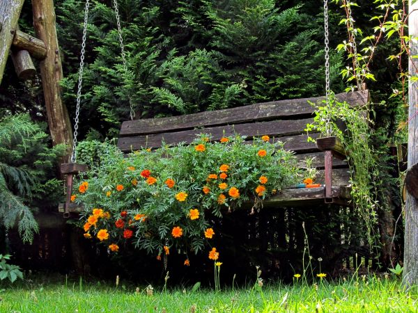 Ogród w centrum miasta