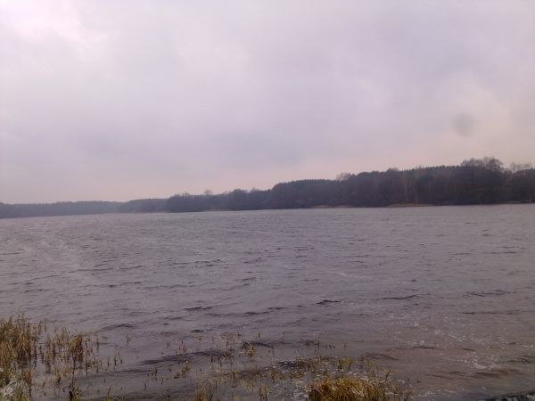 Jezioro w Szczekarzewie w ostatnim dniu  2011r