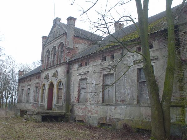 zdjecie Niedźwiedź