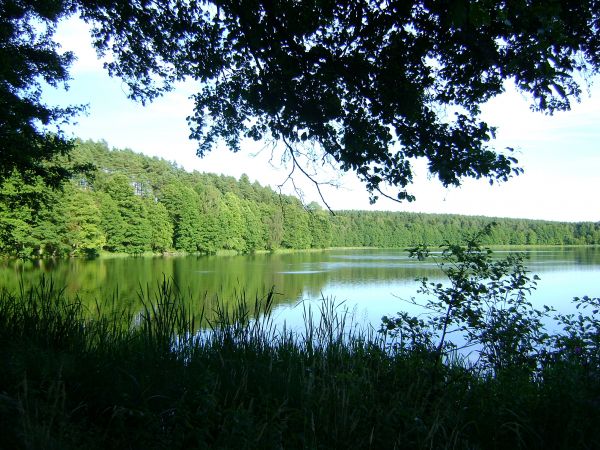 Widok na jezioro w Golcach