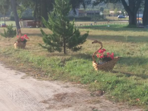 zdjecie Nowa Wieś Iławecka