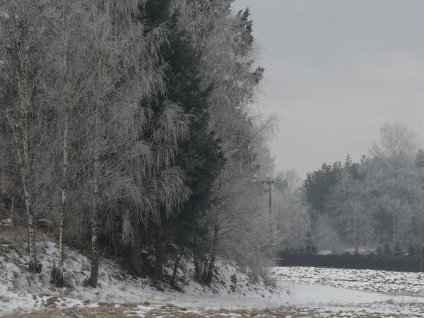 zdjecie Płocice