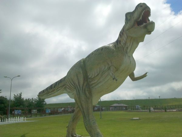 Tyranozaur w parku w Gniewinie