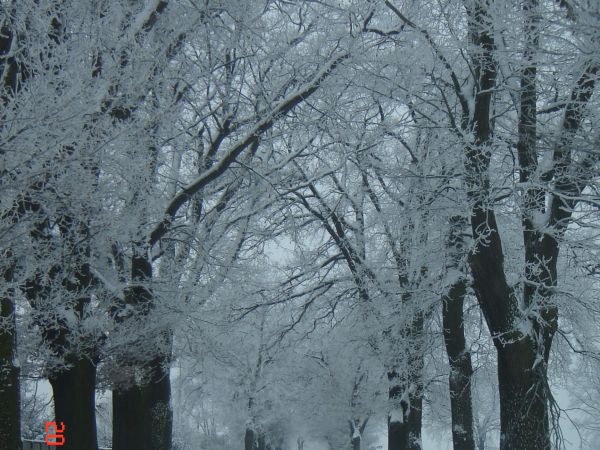 Wyjazd z miejscowości Strzyżno