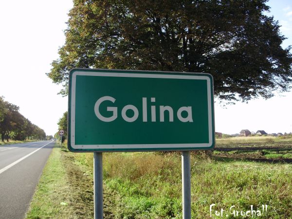 Znak informujący o wjeździe do miejscowości Golina Golina znana jest od XIV. W 1330 roku  szlachcic Jan z rąk króla Władysława Łokietka otrzymał przywilej lokac