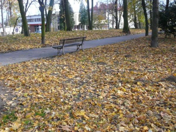 Park