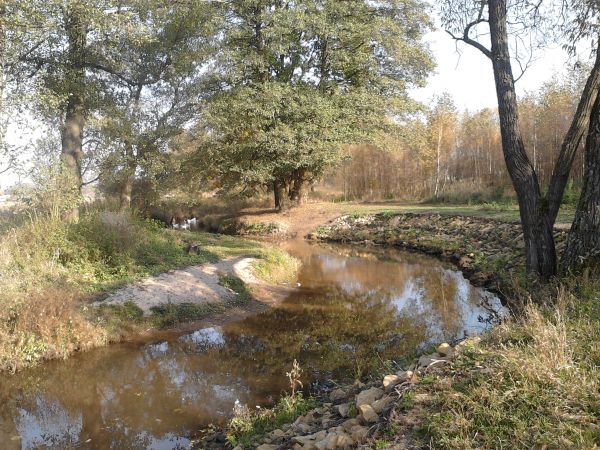 Zakola rzeki Lublinicy.