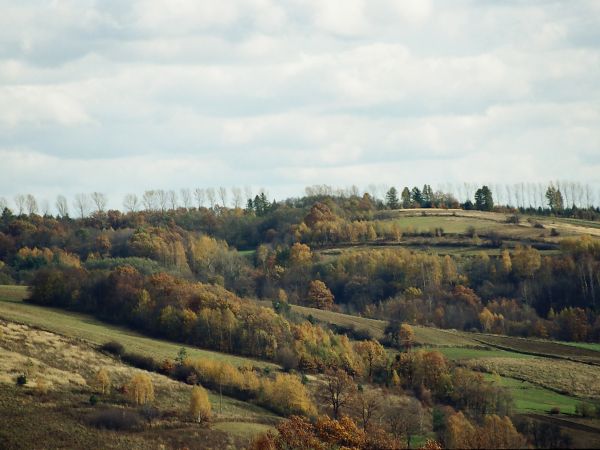 zdjecie Węgierka