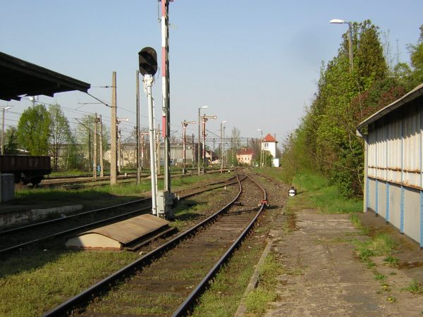 zdjecie Sulechów