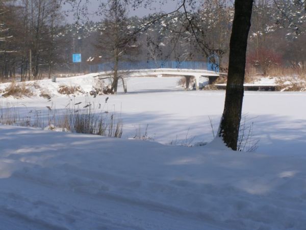 zdjecie Zalesie Górne