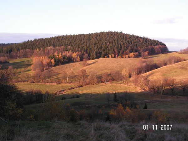 Gostkowskie pola i las