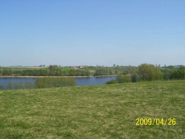 zdjecie Niedźwiedź