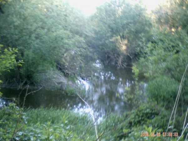 zdjecie Stare Kaliszany