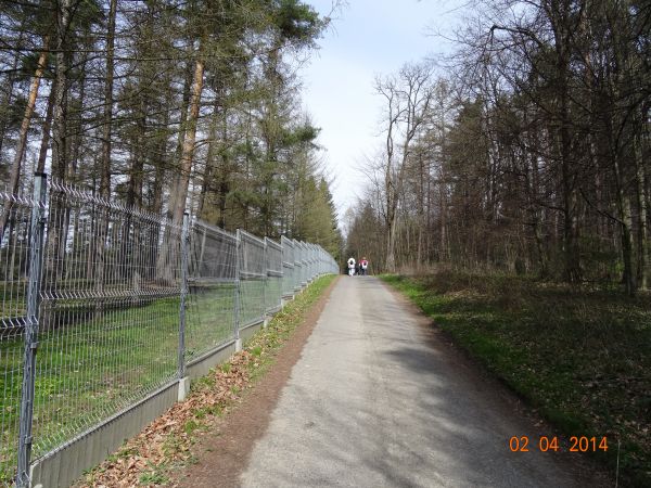 szlakiem spacerowym - przy ogrodzeniu rewiru Leśnictwa Kostryń.