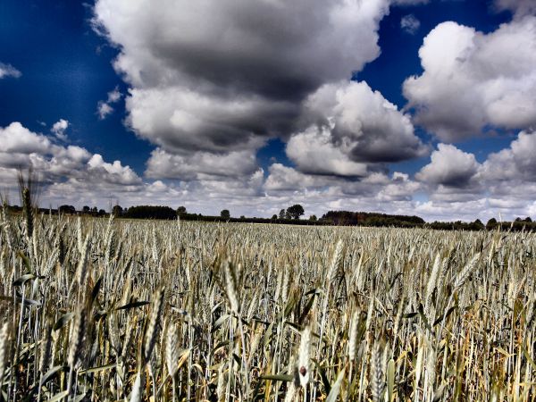 zdjecie Tyniewicze Duże