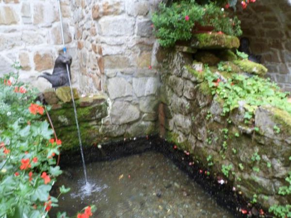 zdjecie Wytrzyszczka