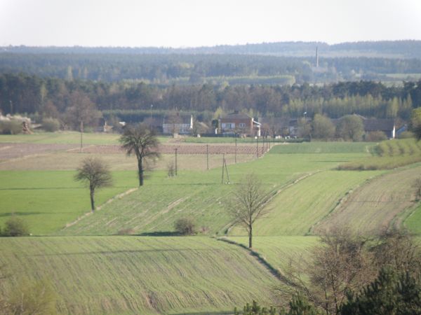 Widok od Skarbki na Wycinkę