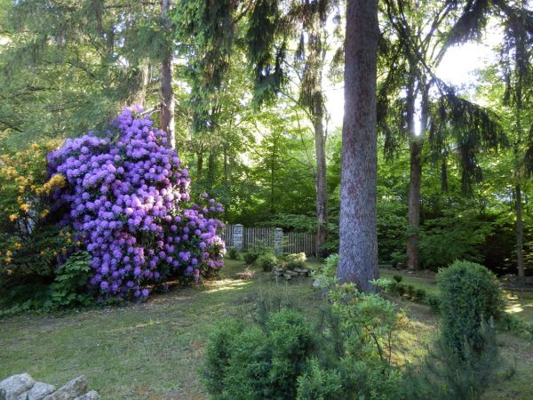 Nasz ogród w Świeradowie