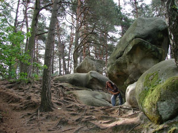 zdjecie Ciężkowice