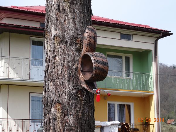 toż to ślimak pod ochroną, z urody jakby zaskrońca krewniak a może padalca /miedzianki/?