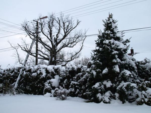 Zima 2008 Wola Wadowska