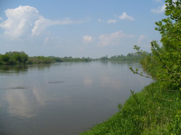 Nasza Królowa Wisła przypływa z Krakowa przez Brzostków , niosąc wieki wspomnień z historii Polski . "Nomen omen" - TS Wisła Kraków nie zasługuje na ten tytuł.