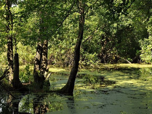A w tym miejscu była plarza.