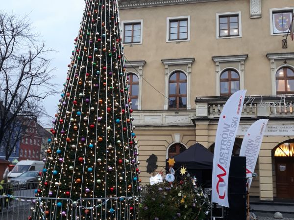 Choinka  na  Rynku  2017r