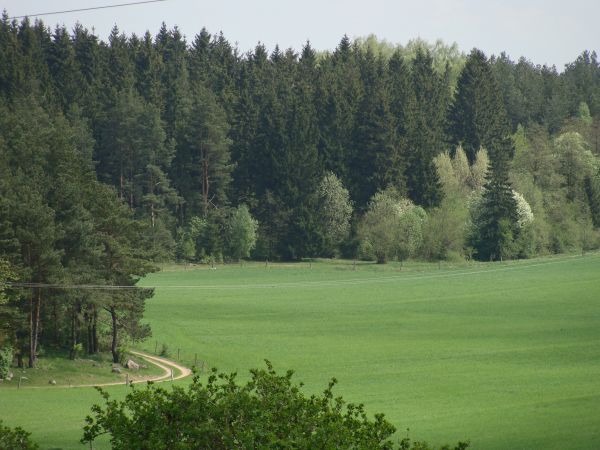 Wiosna w Makowlanach