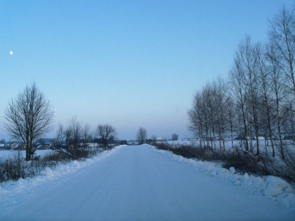 zdjecie Wierzchlesie