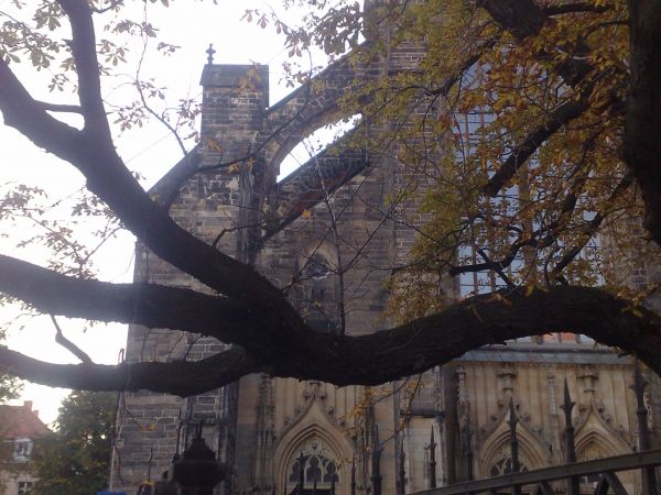 Katedra św. Wacława i św. Stanisława